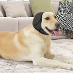 Proteção auditiva anti-ruído cão